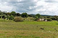View of a meadow with trees in the Alentejo, near Evora in spring 2019 [IBR124915261]