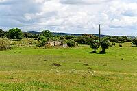 View of a meadow with trees in the Alentejo, near Evora in spring 2019 [IBR124915262]