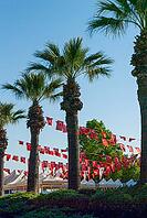 Turkish flags displayed outdoors, highlighting red fabric, crescent moon, star, and national identity [IBR124920191]