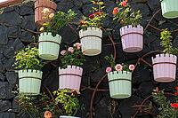 Beautiful decorative vertical garden featuring colorful pastel flower pots hanging on a dark stone wall [IBR124920196]