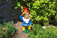 Colorful garden gnome in a garden, Gmund am Tegernsee, Gmund, Upper Bavaria, Bavaria, Germany [IBR124920232]