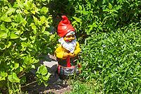 Colorful garden gnome in a garden, Gmund am Tegernsee, Gmund, Upper Bavaria, Bavaria, Germany [IBR124920239]