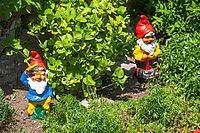 Colourful garden gnomes in a garden, Gmund am Tegernsee, Gmund, Upper Bavaria, Bavaria, Germany [IBR124920244]