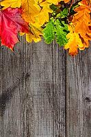 Autumn colorful leaves on wooden table, top view [IBR124944098]