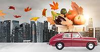 Food delivery. Autumn red toy car with fallen leaves delivering fruits and vegetables against business district buildings [IBR124944111]