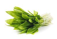 Ramson bunch vegetable isolated on white background [IBR124991102]