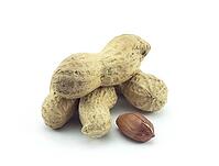 Peanut in shell on a white background [IBR124991129]