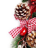 Christmas background with pine cones and Christmas tree [IBR124991139]
