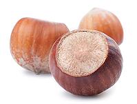 Nuts filberts on white background [IBR124991140]