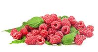 Fresh raspberry with green leaf on white background [IBR124991148]