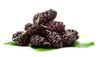 Group of mulberries with a leaves. Isolated on a white background [IBR124991150]