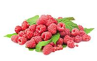Fresh raspberry with green leaf on white background [IBR124991152]