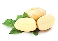 Heap of ripe potatoes vegetable with green leafs isolated on white background [IBR124991153]