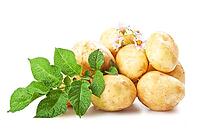 Heap of ripe potatoes vegetable with green leafs isolated on white background [IBR124991162]