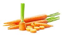 Fresh carrots isolated on white background [IBR124991163]