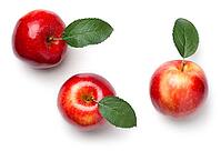 Red apples with leaves isolated on white background. Gala apple. Top view [IBR125000254]