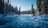 A frozen river with trees in the background. The water is frozen and the trees are covered in snow. AI generated [IBR125000263]