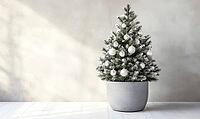 Small Christmas tree with only white and silver ornaments, sitting in a grey concrete planter on a white wooden floor. AI generated [IBR125000275]