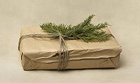 Rustic gift wrapped in brown kraft paper with twine and a sprig of green fir, set against a soft beige background. AI generated [IBR125000286]