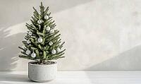 Small Christmas tree with only white and silver ornaments, sitting in a grey concrete planter on a white wooden floor. AI generated [IBR125000291]