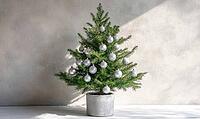 Small Christmas tree with only white and silver ornaments, sitting in a grey concrete planter on a white wooden floor. AI generated [IBR125000292]