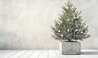 Small Christmas tree with only white and silver ornaments, sitting in a grey concrete planter on a white wooden floor. AI generated [IBR125000293]