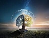 Life Concept. Existence survival being consciousness. Growth of new life, AI generated [IBR125000336]