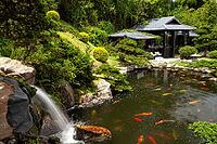 Japanese Garden, Dalat, Central Highlands, Vietnam [IBR125002286]