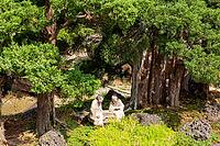 Japanese Garden, Dalat, Central Highlands, Vietnam [IBR125002288]