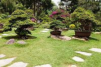 Japanese Garden, Dalat, Central Highlands, Vietnam [IBR125002294]