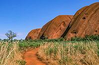 A close-up view of the rugged, massive red sandstone cliffs at the foot of Uluru (Ayers Rock) reveals the fascinating geological texture along the Uluru Base Walk in Uluru-Kata Tjuta National Park, the Red Centre, Northern Territory, Australia [IBR125002345]