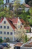 Pointed gable house in spring with blooming cherry tree, Kempten, Allgäu, Bavaria, Germany [IBR125002346]