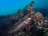 A huge anchor lies on the seabed, covered by sea sponges and algae, diving site Cap de Creus Marine Reserve, Rosas, Costa Brava, Spain, Mediterranean [IBR125002400]