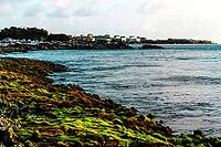 Vibrant Algae on Shoreline Rocks with Distant Buildings. Golden Sun Casting Warm Light at Sunset. Aruba [IBR125026144]