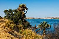 Landscape with palm trees and dunes on the Nile, near Aswan, Upper Egypt, Egypt [IBR125026147]