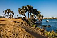 Landscape with palm trees and dunes on the Nile, near Aswan, Upper Egypt, Egypt [IBR125026154]