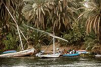 Fishermen and palm trees on the Nile, near Edfu, Upper Egypt, Egypt [IBR125026160]