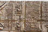 Reliefs and hieroglyphs, Kom Ombo temple, Upper Egypt, Egypt [IBR125026170]