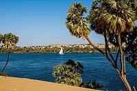 Landscape with palm trees and dunes on the Nile, near Aswan, Upper Egypt, Egypt [IBR125026175]