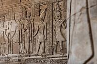 Reliefs and hieroglyphs, Kom Ombo temple, Upper Egypt, Egypt [IBR125026179]