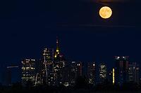 The full moon sweeps across Frankfurt's banking skyline. In June, the full moon is traditionally called the strawberry moon and refers to the strawberry harvest. Rose moon because of the rose blossom and honey moon because of the honey harvest are also tr [IBR125026180]