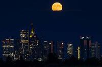 The full moon sweeps across Frankfurt's banking skyline. In June, the full moon is traditionally called the strawberry moon and refers to the strawberry harvest. Rose moon because of the rose blossom and honey moon because of the honey harvest are also tr [IBR125026185]