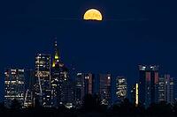 The full moon sweeps across Frankfurt's banking skyline. In June, the full moon is traditionally called the strawberry moon and refers to the strawberry harvest. Rose moon because of the rose blossom and honey moon because of the honey harvest are also tr [IBR125026188]