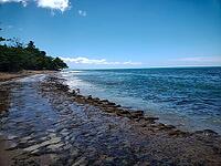 A rocky shoreline with clear, blue water and a visible reef structure at Steps Beach in Rincon, Puerto Rico [IBR125026227]