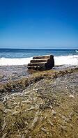 Steps Beach, also known as Tres Palmas, is part of a marine reserve and a popular destination for snorkeling and diving due to its vibrant marine life. Rincón, Puerto Rico [IBR125026228]