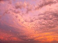 Colorful sky with pink clouds at a beautiful sunset, background [IBR125030430]