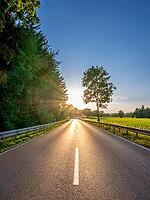 Country road towards evening sun, towards the sun, Bavaria, Germany [IBR125030431]