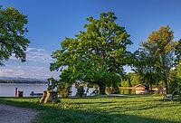 Bleicherpark am Starnberger See in morning light, Tutzing, Bavaria, Germany [IBR125030477]