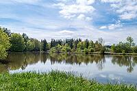 Landscape in spring at Deixlfurter See, Tutzing, Bavaria, Germany [IBR125030487]