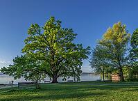 Bleicherpark am Starnberger See in morning light, Tutzing, Bavaria, Germany [IBR125030502]